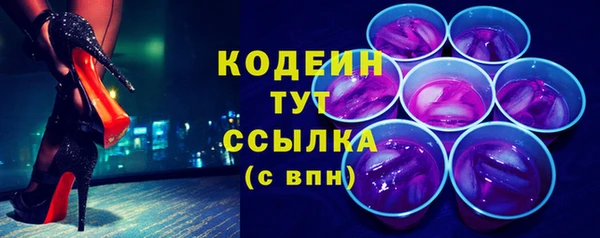 хмурый Мегион