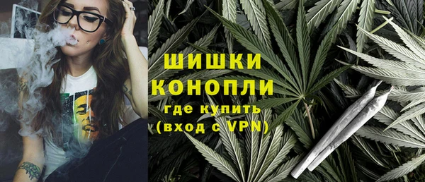 хмурый Мегион
