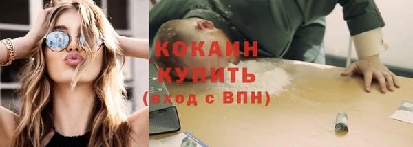 хмурый Мегион