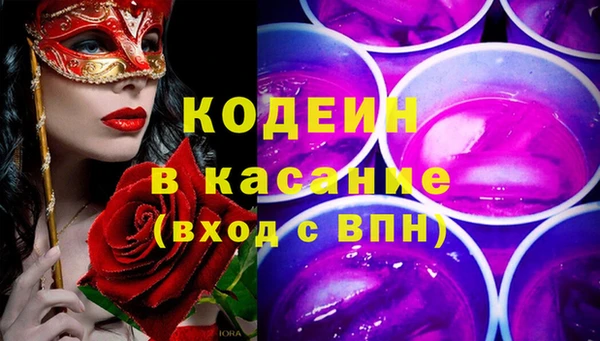 хмурый Мегион