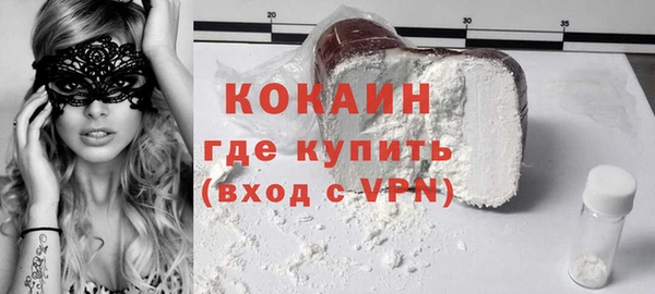 хмурый Мегион